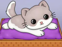 image bg Pets Slide