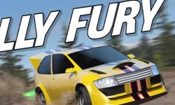 image bg Rally Fury