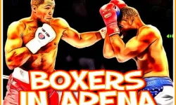 Boxers in Arena image