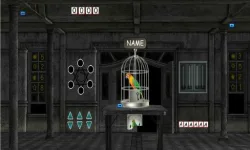 Parrots Escape image