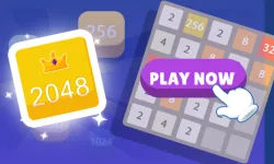 image bg Battle 2048