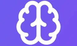 Memory Match Lite image