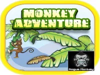 image bg monkey care
