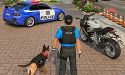 Police Car Chace image