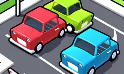Parking driver image