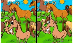 Animals Differences image