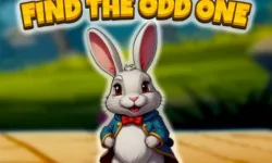 Find The Odd One image