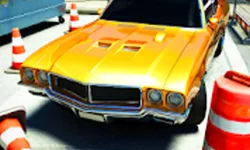Car Parking Pro-SBH image