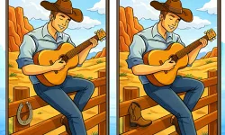 Spot The Difference Wild West image