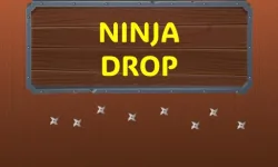 Ninja Drop image