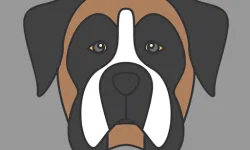 Doggy Face Coloring image