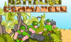 Battalion Commander image