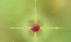 Pest Control image