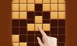 Wood Block Puzzle Games image