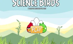 image bg Science Birds