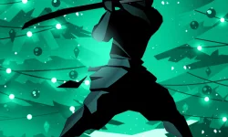 image bg Shadow Fight