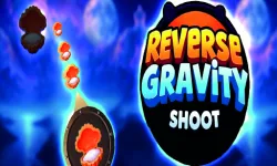 Reverse Gravity Shoot image