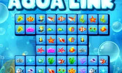 Aqua Link image