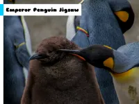 image bg Emperor Penguin Jigsaw