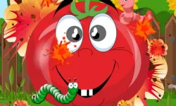 Tomato Explosion image