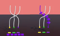 Twisted Rods image