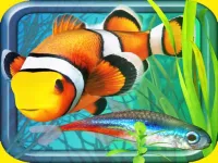 image bg Fish Farm - Aquarium Simulator