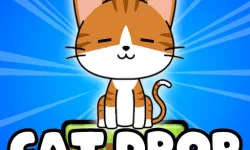Cat Drop image
