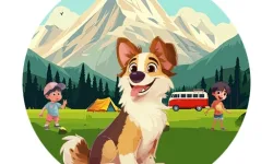 Dog Hide N Seek image