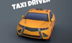 Taxi Driver 3D image