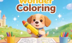 image bg Wonder Coloring