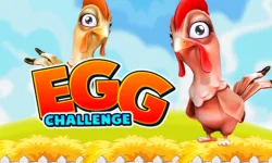 Egg Challenge image