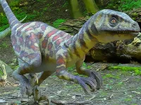 image bg Smallest Dinosaurs Jigsaw