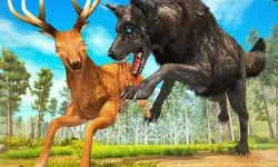 Wolf Simulator Forest Hunt 3D image
