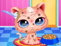 image bg Cute Kitty Care