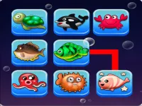 image bg Link the Fish