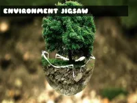 Environment Jigsaw image