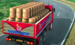 Indian Truck Driver Cargo Duty Delivery image