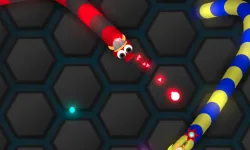 Wormo.io image