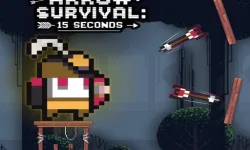Arrow Survival: 15 Seconds image