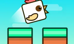 image bg Chicken Jumper