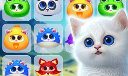 image bg Kitty Jewel Quest