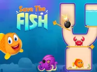 image bg Save The Fish 1
