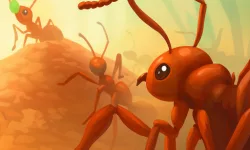 Ants io image