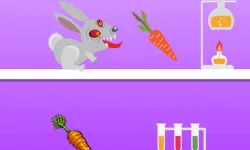 Rabid Rabbit image