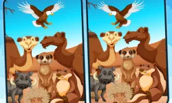 Spot 5 Differences Deserts image