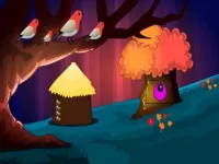 image bg Owl Rescue