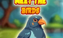 Meet The Birds image