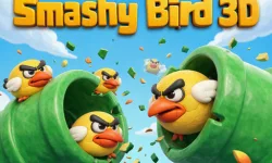 Smashy Bird 3D image