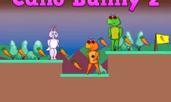 image bg Cano Bunny 2