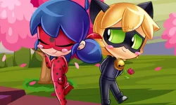 image bg Ladybug Find the Differences